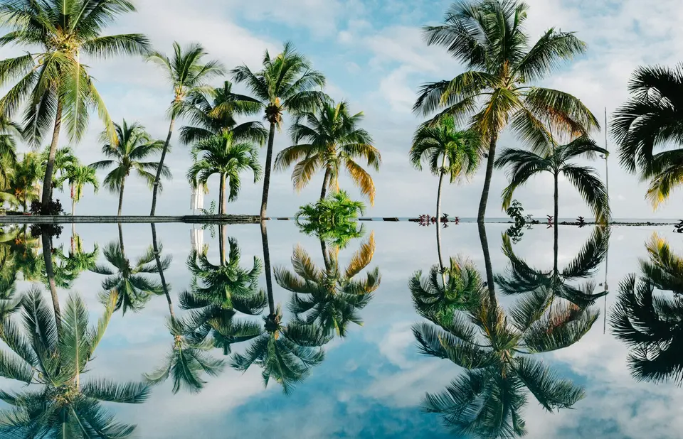 Piscine bordée de palmiers qui se reflètent dans l’eau