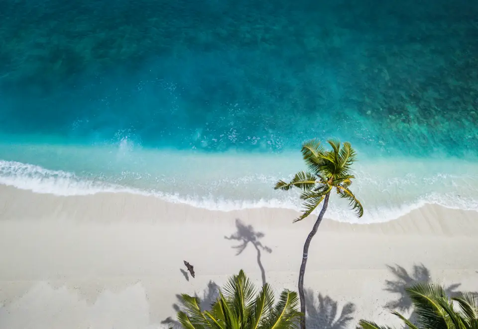 Vue aérienne de la plage et de l’océan